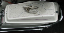 Skull graphic on saddle bag